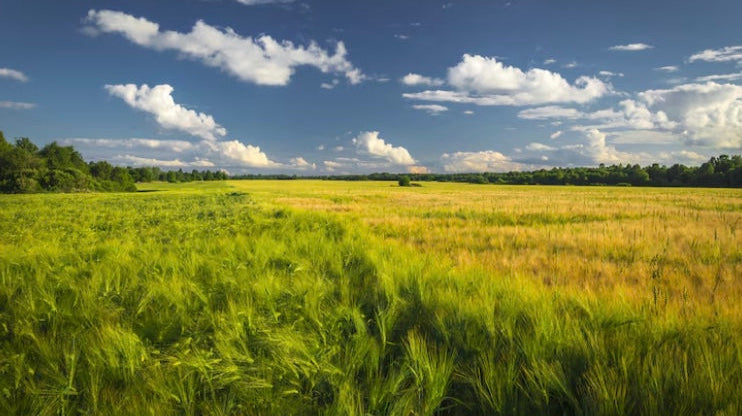 Our Journey: From Nature to Nurture