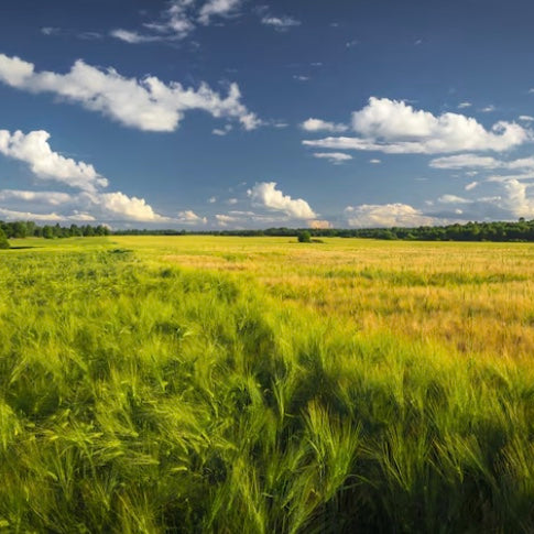 Our Journey: From Nature to Nurture