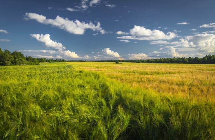 Our Journey: From Nature to Nurture