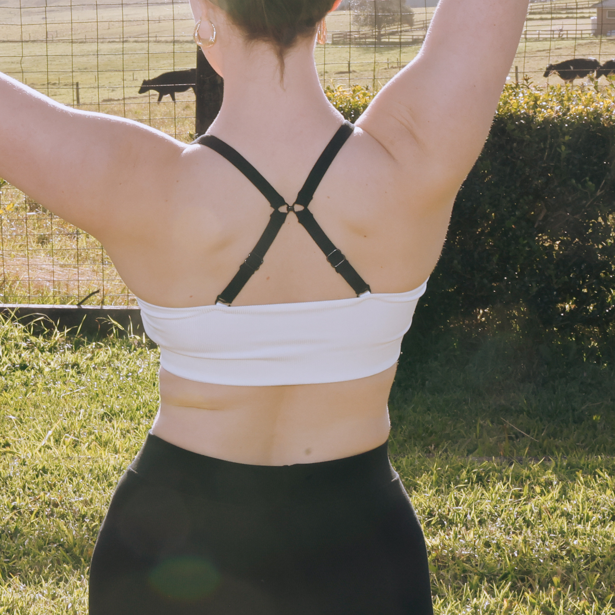 Interchangeable Bra Straps - Black